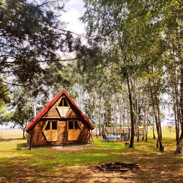 Wypoczynek "POD BRZÓSTKAMI", hotel di Nagłowice