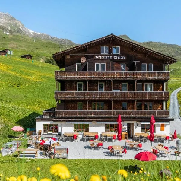 Erzhorn, hotel in Arosa