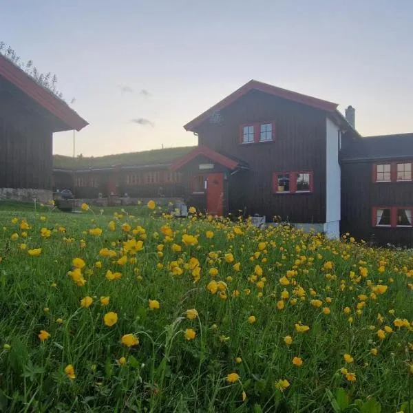 Skotten Seter - Bed & Husky, hotel v destinaci Mork