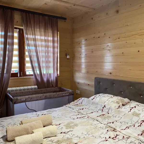 Apartman Sofiana, hotel in Bajina Bašta