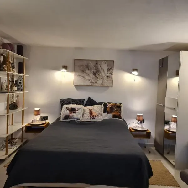 35m2 Hauts d'Albertville Terrasse avec Vue, hótel í Pallud