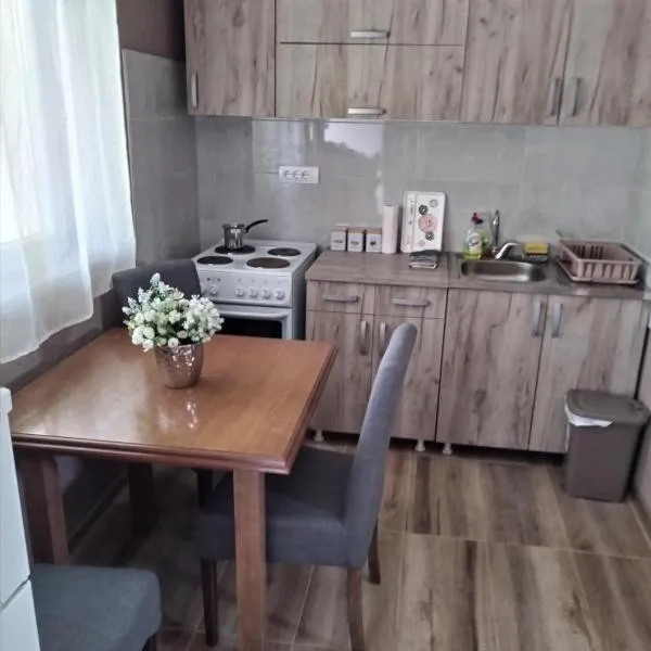 HiT apartmani Pačir2&3, hotel in Pačir