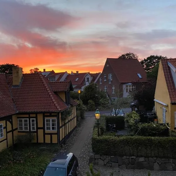 Den Gamle Vandmølle, hotel v destinaci Assens