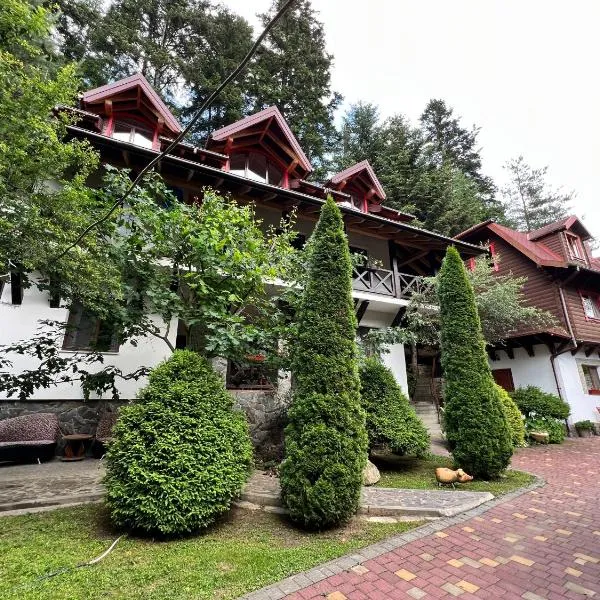 Вілла Лісова комфорт, hotel in Skhidnitsa