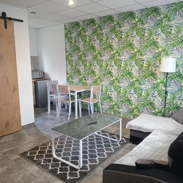 Domki - Apartamenty Complex, hotel en Zator