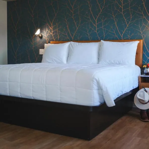 City Center Motel, hotel v destinaci Hamilton