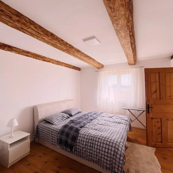 Guest House Stanic, hotel in Virak