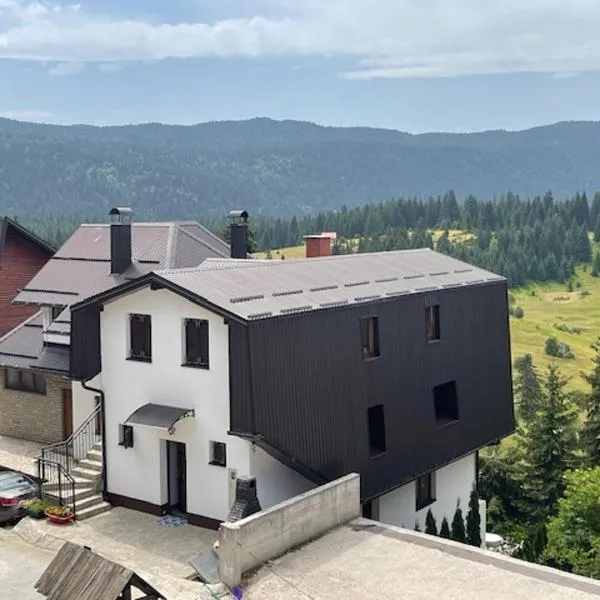 Vila Alić, hotel v destinaci Šišava