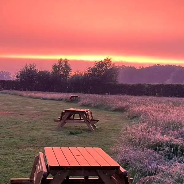 Erve Zonnehoeve Minicamping en Wijngaard, hotel v destinaci Vorden