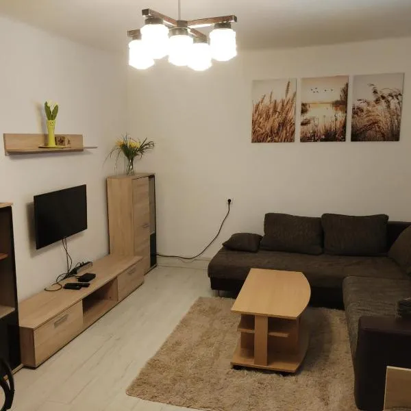 Apartmán Brdy, hotel in Strašice
