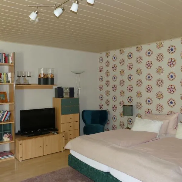 Land und Leute - Landleben Apartment, hotel in Fritzlar