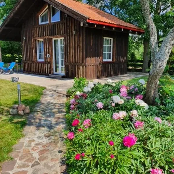 Auci Guest house 2, hotel in Liepāja
