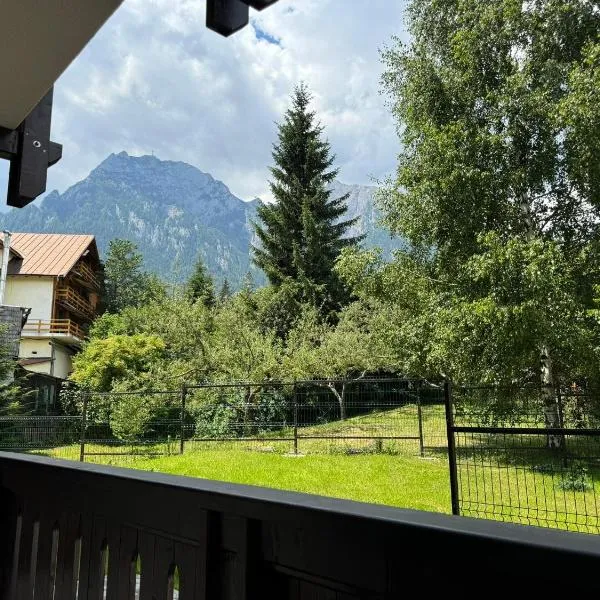 The View Apartment 3 Bușteni: Buşteni şehrinde bir otel