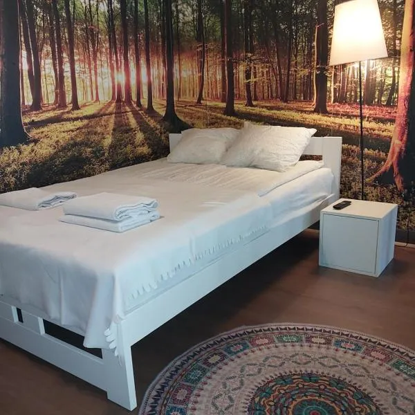 Studio Czarna, hotel v destinaci Stanisławów