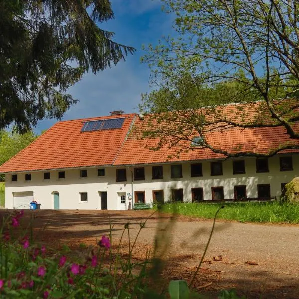 Schwarzwald Escape, hotel v destinaci Görwihl