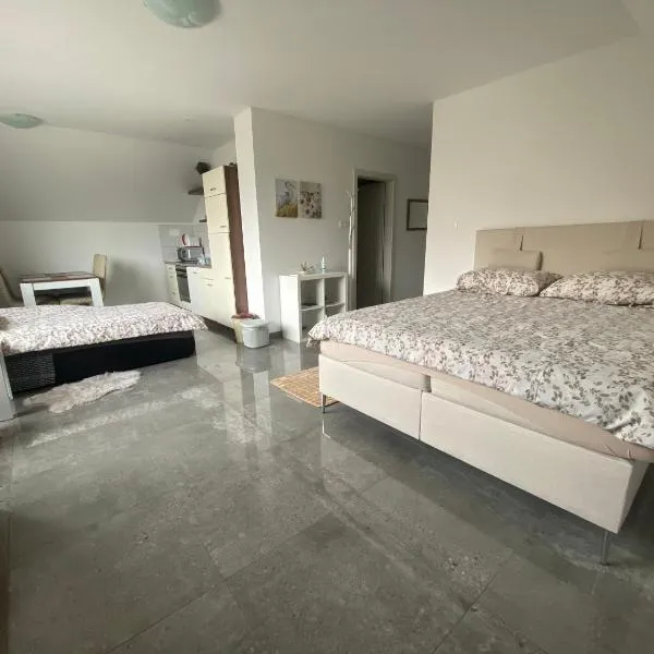 Apartma Azurre, hotel v destinaci Postojna