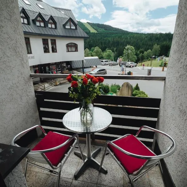 Pension Mona, hotel v destinaci Harrachov