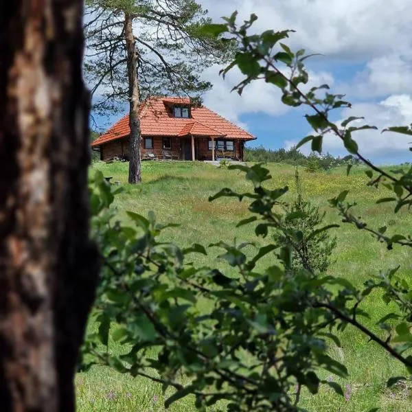 Skroviste, Zlatibor-Vodice, hotel v destinaci Zlatibor