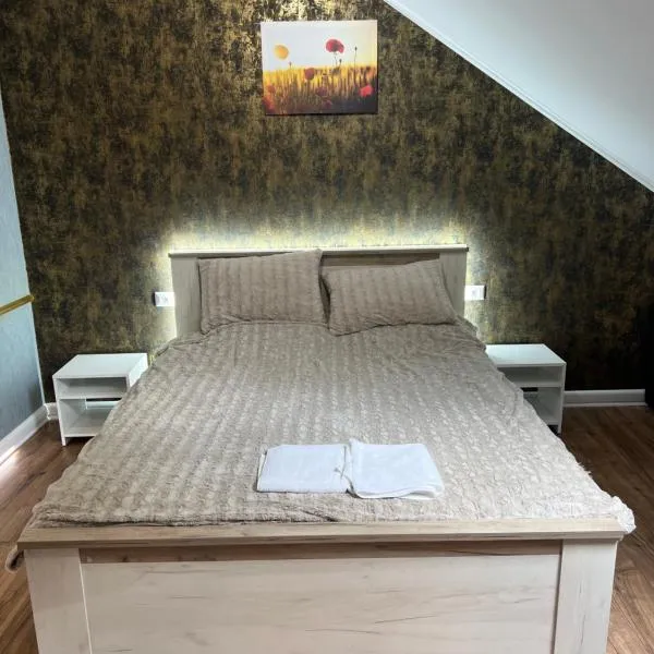 Benny & Bella Guest House City, Hotel in Oradea