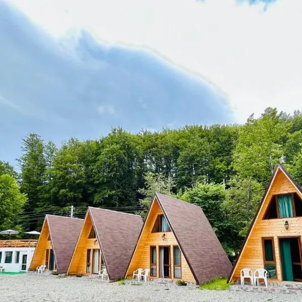 Casa Ursu, hotel v destinaci Cîrţişoara