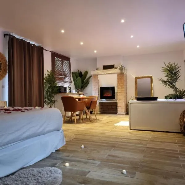 Suite de charme avec jacuzzi et jardin privatif Paris au calme, hotel v destinaci Saint-Prix