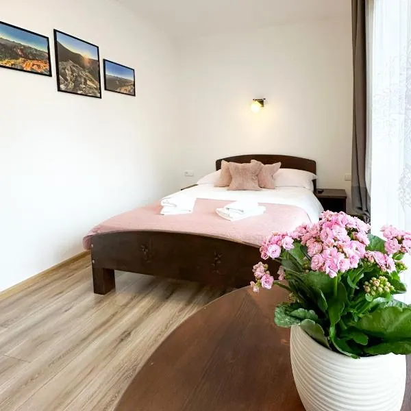 Noclegi u Masnych, hotel en Witów
