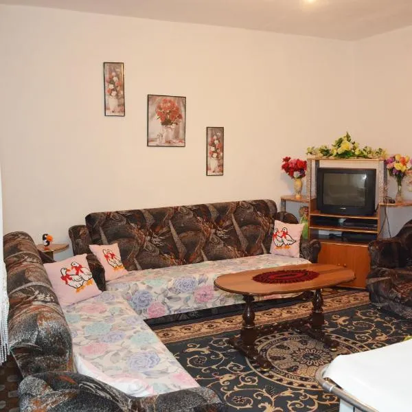 The Canyon Stay, hotel in Çorovodë