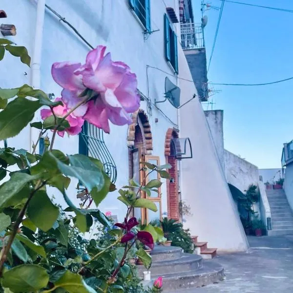 Il cortile fiorito, hotel a Scala