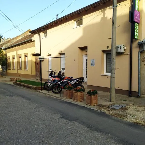 Lotus house, hotel v destinaci Zrenjanin
