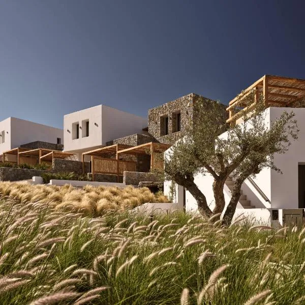 Anemelia Hotel Mykonos, hotel v destinaci Elia pláž