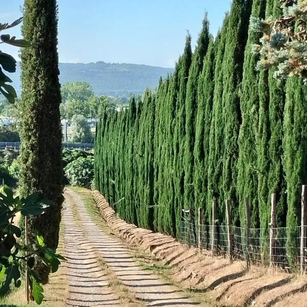Camugnano farm, hotel v destinaci Rapolano Terme