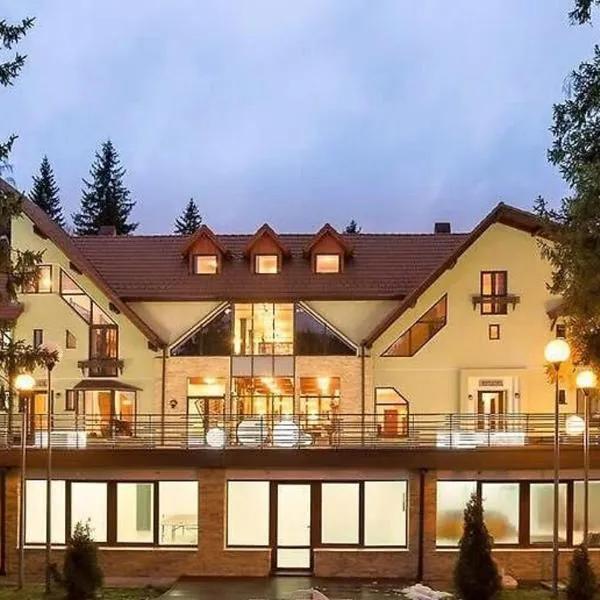 Vila Pinul si Mesteacanul, hotel in Poiana Brasov