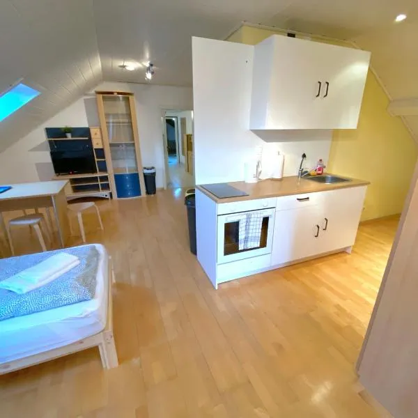 V Apartment 4 Personen - Monteurzimmer - Ferienwohnung - Kronwieden, hotel in Loiching