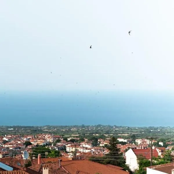Olympian Panorama, hotel v destinaci Litochoro