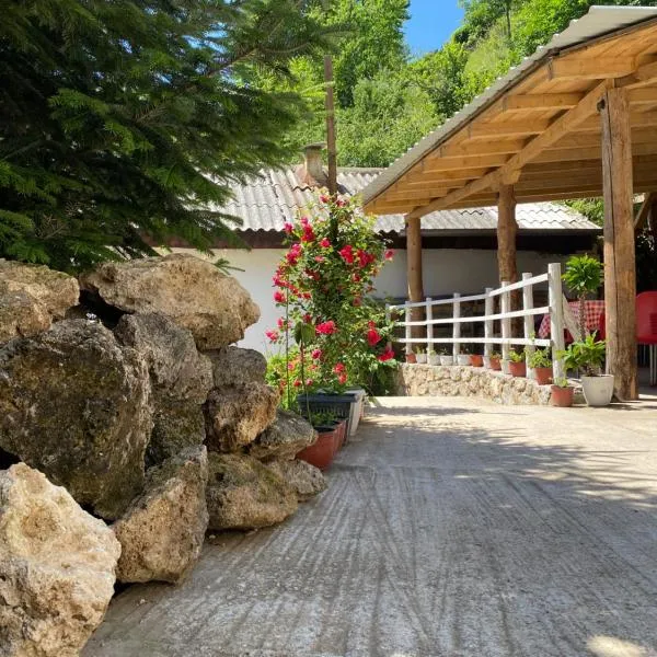 Guest House BOZVILL, hotel in Bozovce
