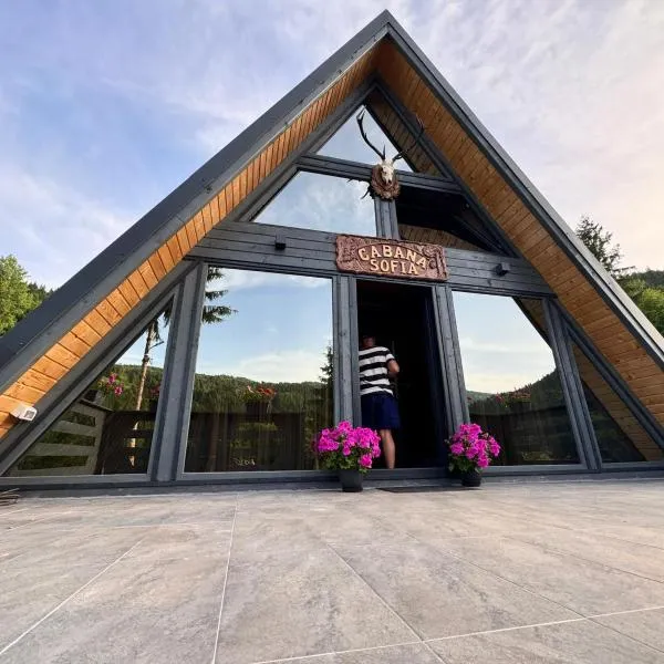 Cabana Sofia, hotel v destinaci Burzeşti