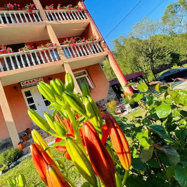 Pensiunea Delia, hotel in Izlaz