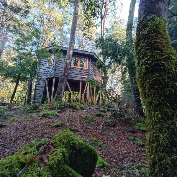 Cabañita del Árbol Cóndor, hotel u gradu Las Trankas