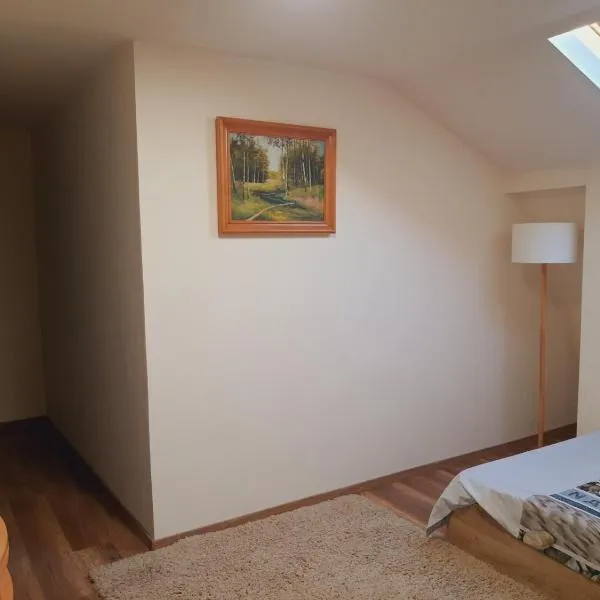 Apollo 2 camere, ξενοδοχείο σε Sangeorgiu de Mures