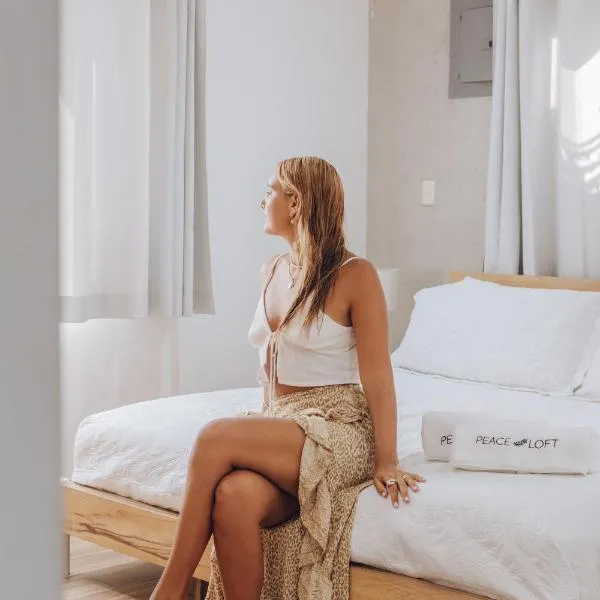 Peace Lofts and Apartments, hotel en Playa Santa Teresa