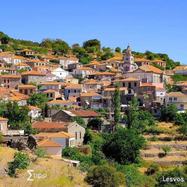 Παραδοσιακός Οικισμός Manavi, hotell sihtkohas Stýpsi