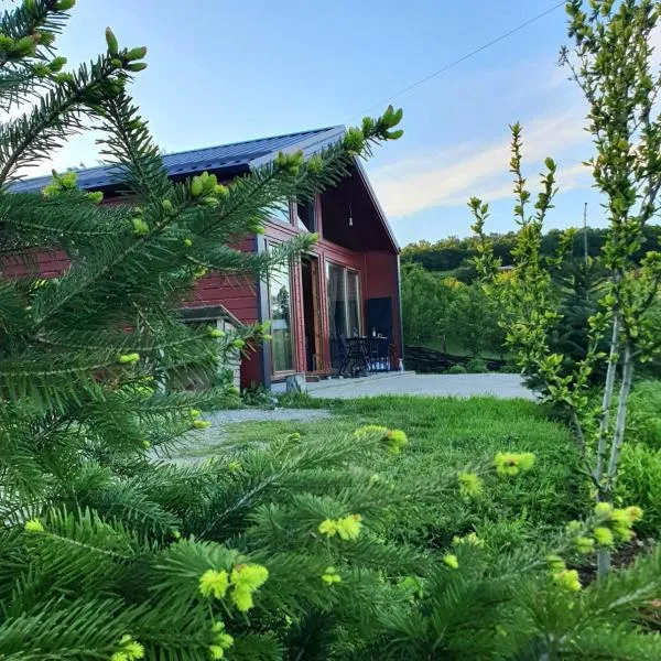 Villa Grashtica - Prishtina City, hotel v destinaci Pristina