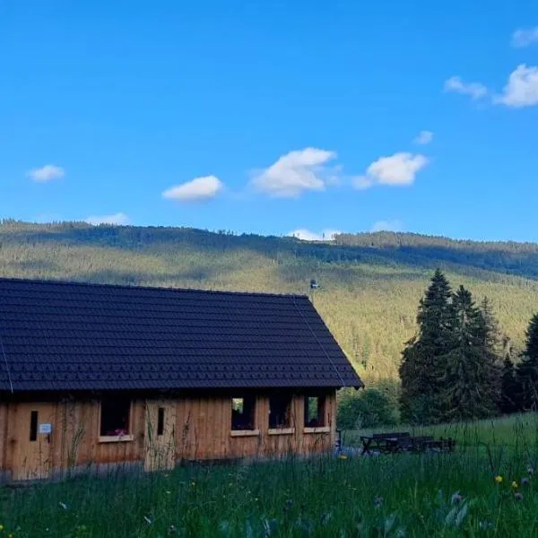 Lyžařská chata, hotel en Kubova Huť