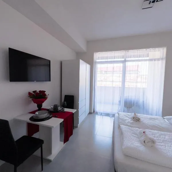 Silver Moon Residence 1, hotel a Arad