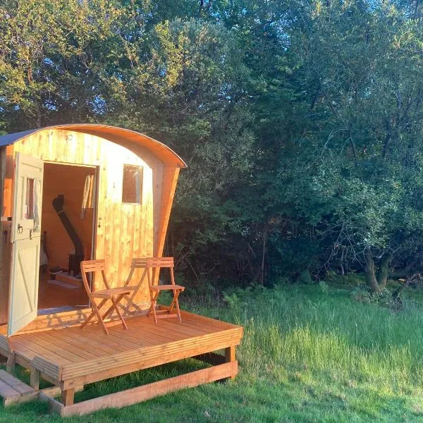 Shepherds Hut on Alpaca and working farm, hotel v destinaci Blaenau-Ffestiniog