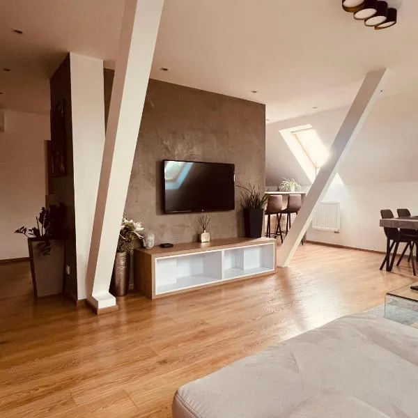 Apartmán VALORI - 100m2, hotel v Poděbradech