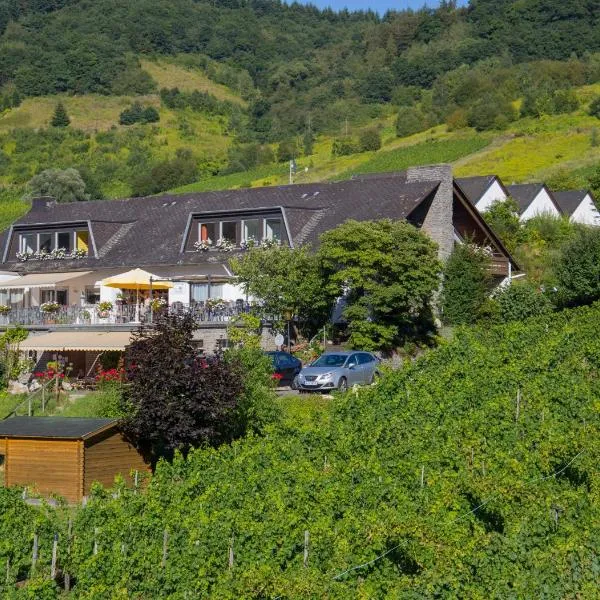 Weingut & Gästehaus Heidhof، فندق في Burg an der Mosel