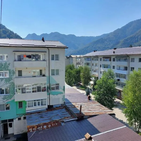 La Tanta Brezoi, hotel in Brezoi