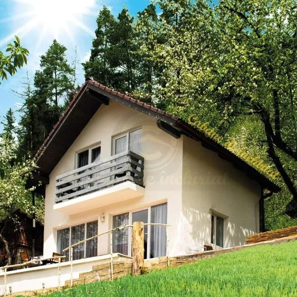 Casa din gradina, hotel v destinaci Poiana Mărului