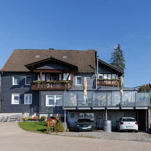 Bauernhof-Pension Schneider-Feige, hotel v destinaci Bad Berleburg